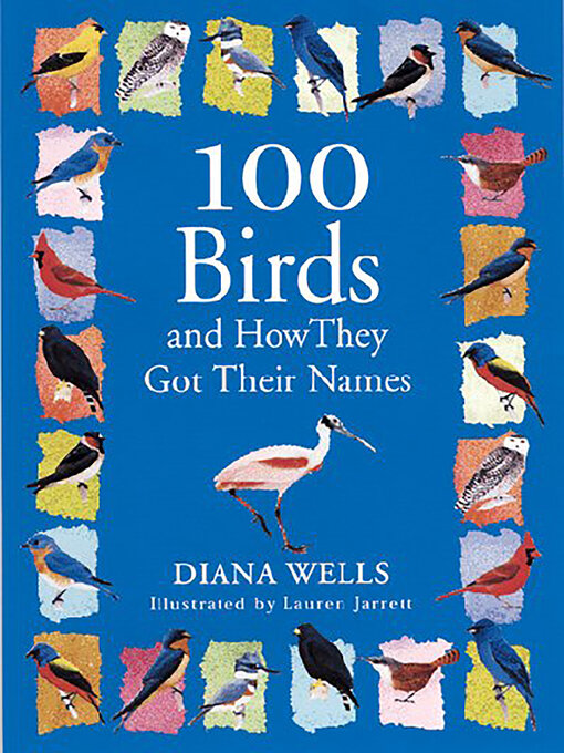 100 pics animals birds