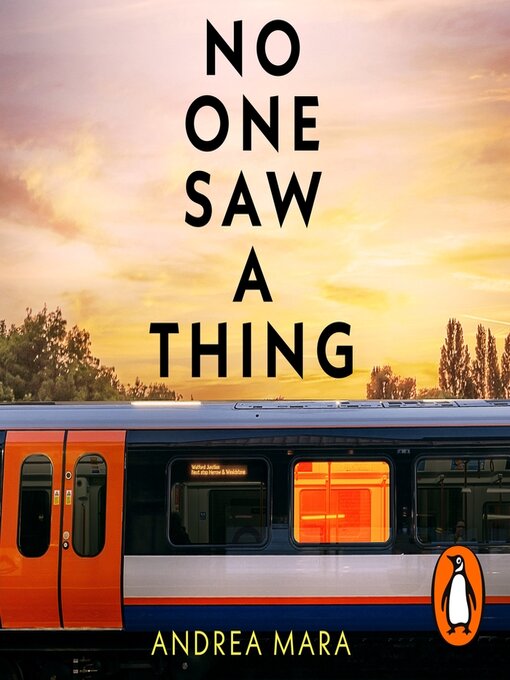 Cover Image of No one saw a thing