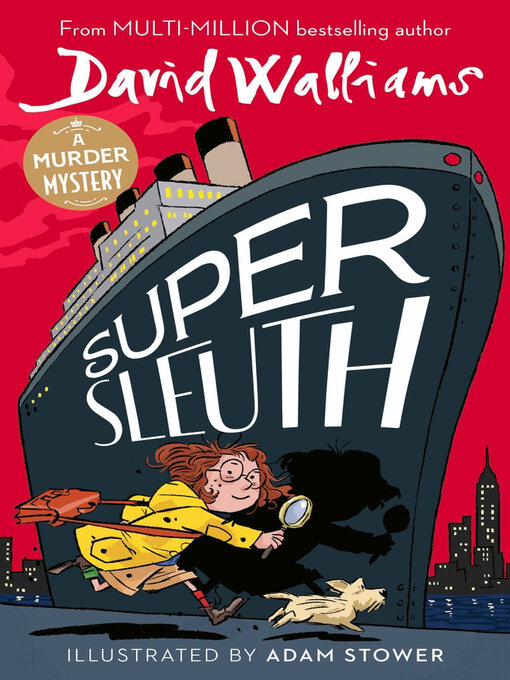 Super Sleuth book cover