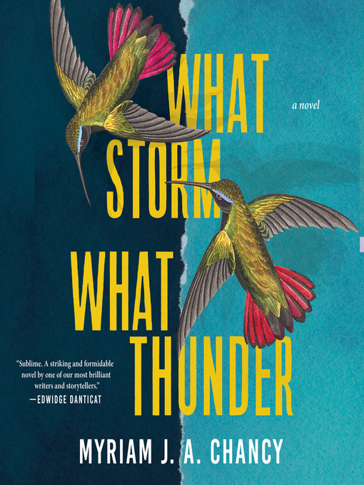 Cover Image of What storm, what thunder