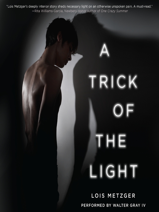 a trick of the light by lois metzger