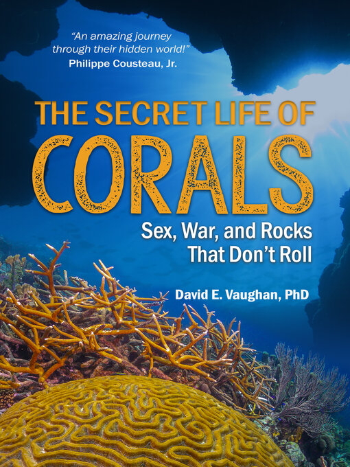 The secret life of corals sex war and rocks that don t roll  