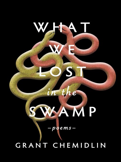 What We Lost in the Swamp - Queens Public Library - OverDrive