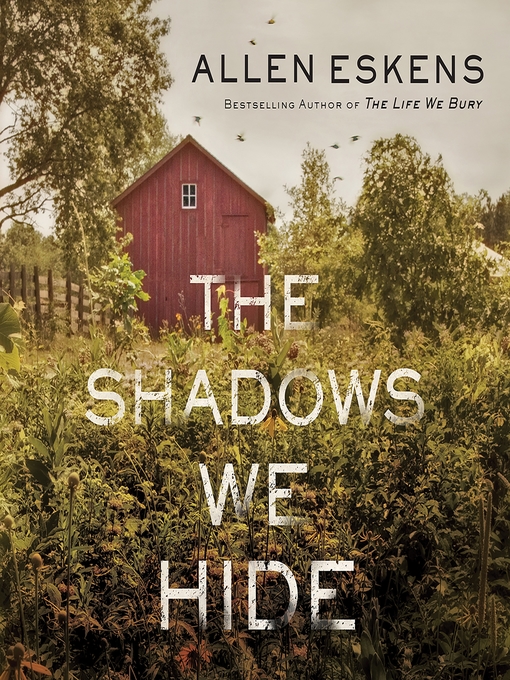 Cover Image of The shadows we hide