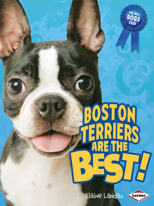 Barrons Owners Manual For Boston Terrier or Bull Terrier  4 books to Choose from