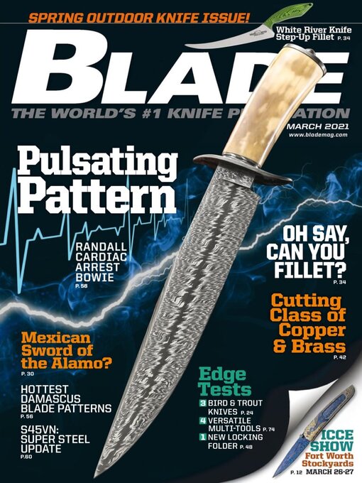 Blade cover image