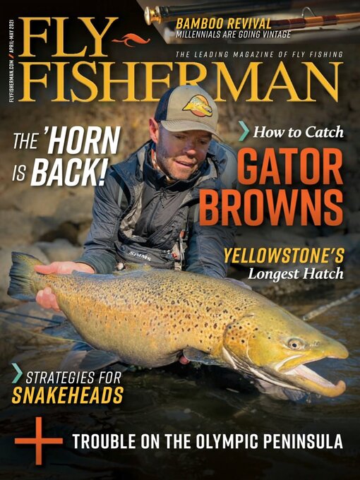 Fly fisherman cover image