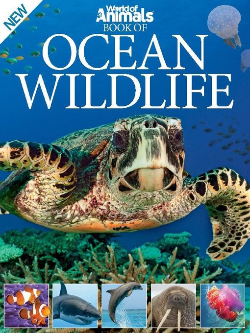 World of animals book of ocean wildlife cover image
