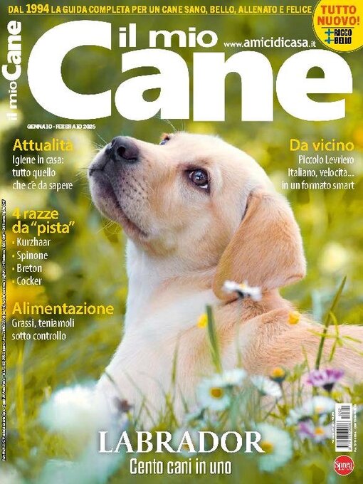 Il mio cane