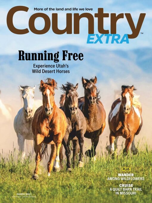 Country extra cover image