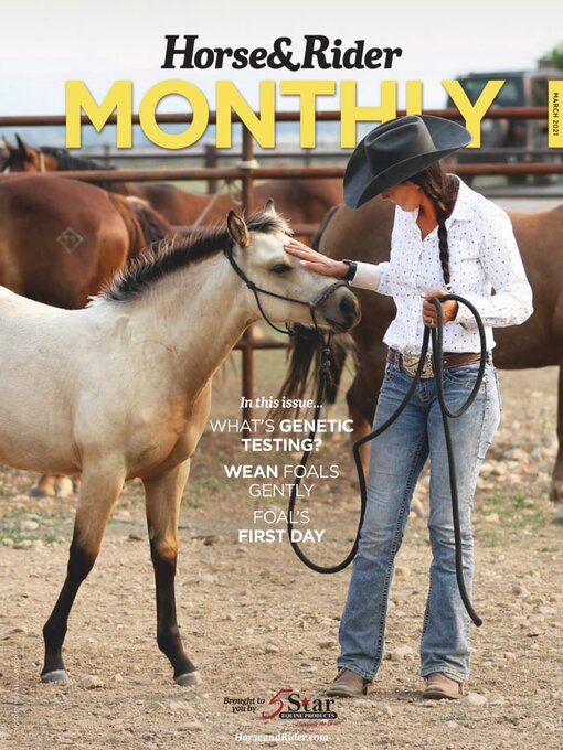 Horse & rider cover image