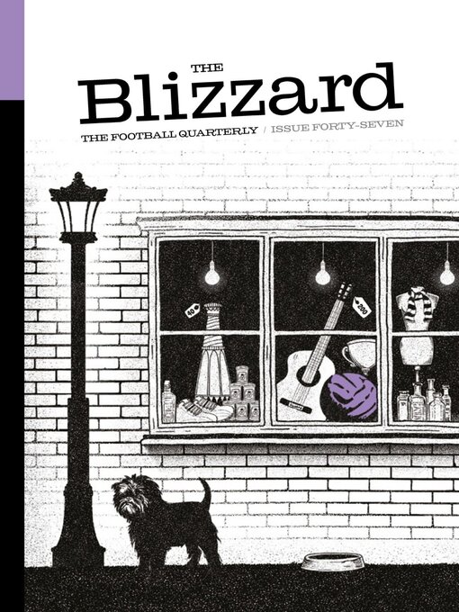 The blizzard cover image