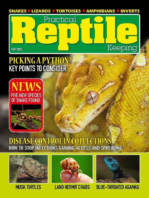 Dragon Snake - Reptiles Magazine