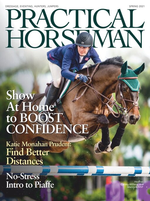 Practical horseman cover image