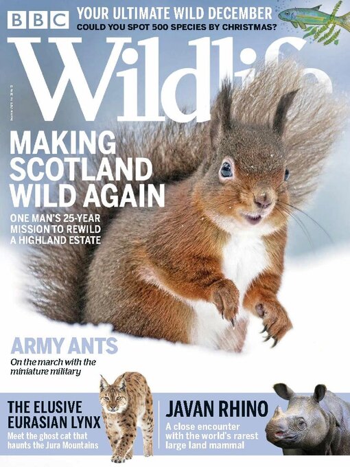 Magazines - BBC Wildlife Magazine - Mid-Columbia Libraries - OverDrive
