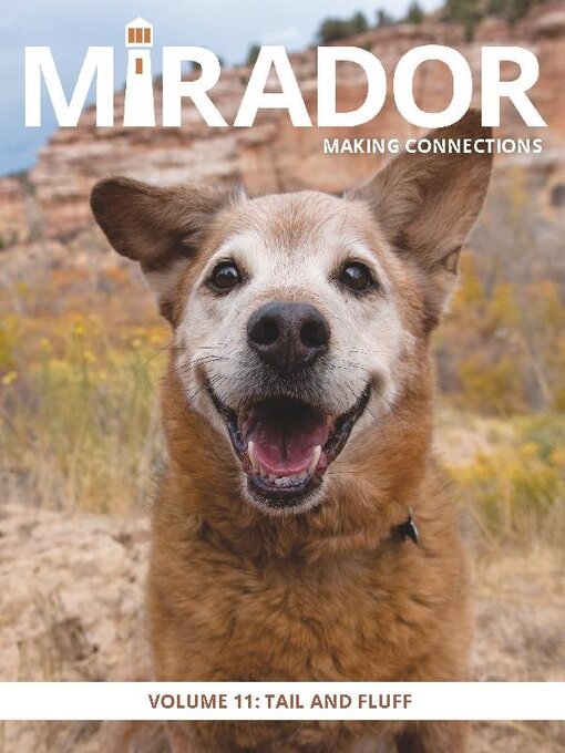 Mirador magazine cover image