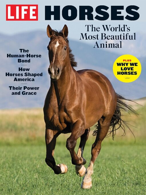 Life horses cover image