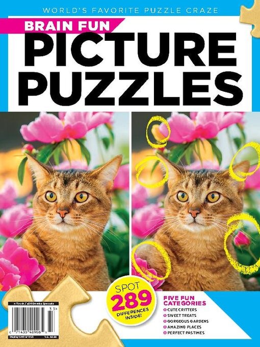 Picture puzzles cover image