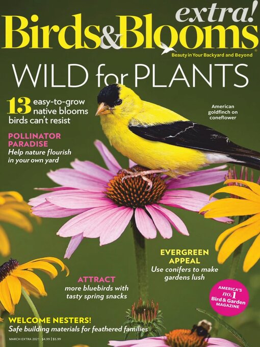 Birds and blooms extra cover image