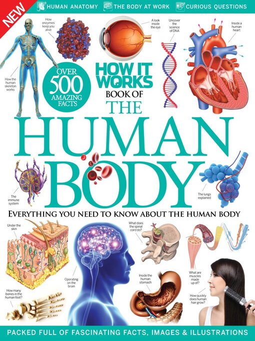 How it works: book of the human body cover image