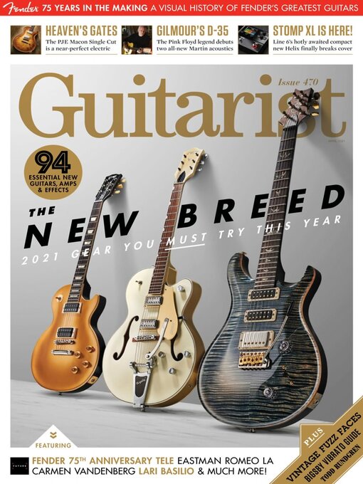 Guitarist cover image