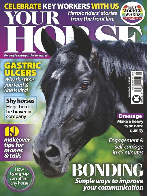 Your horse cover image