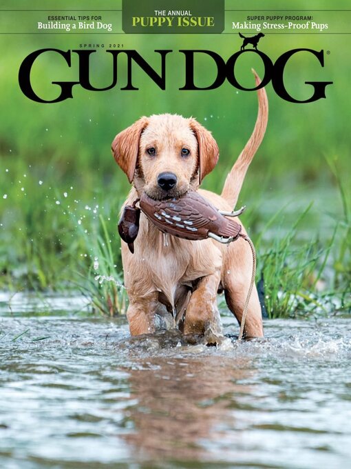 Gun dog cover image
