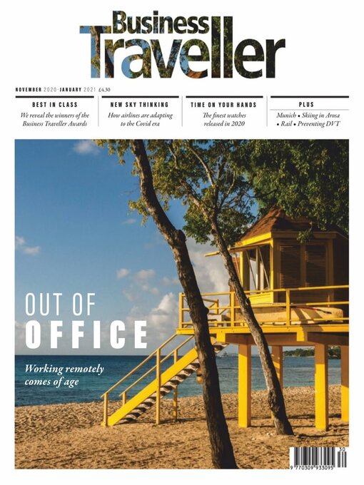 Business traveller cover image