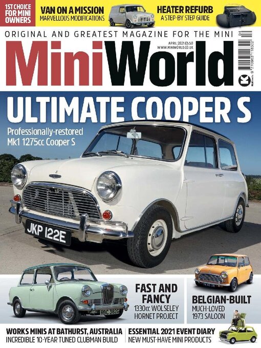 Miniworld cover image