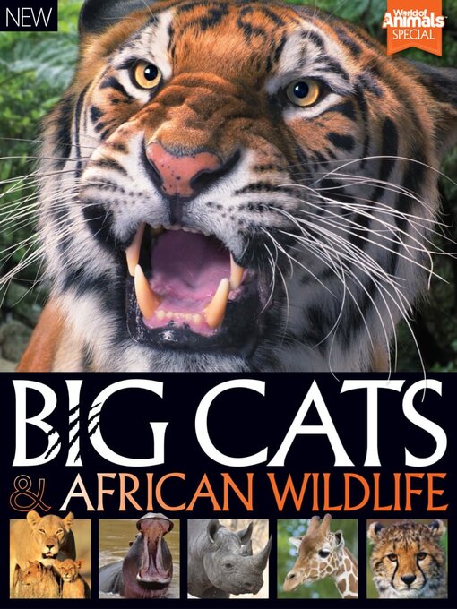 World of animals book of big cats and african wildlife cover image