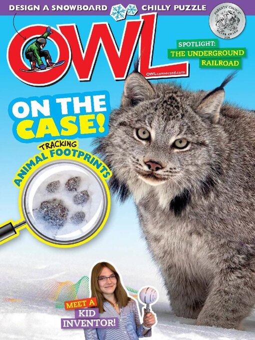 Owl cover image