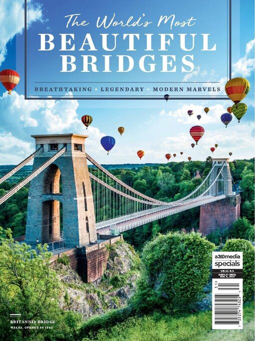 Beautiful bridges cover image