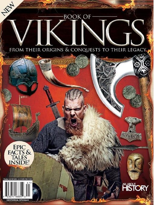 Book of vikings cover image