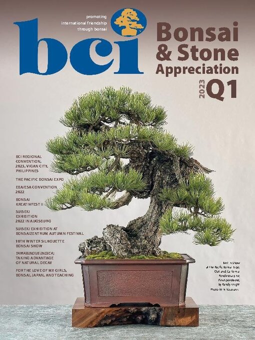 Bci bonsai & stone appreciation magazine cover image