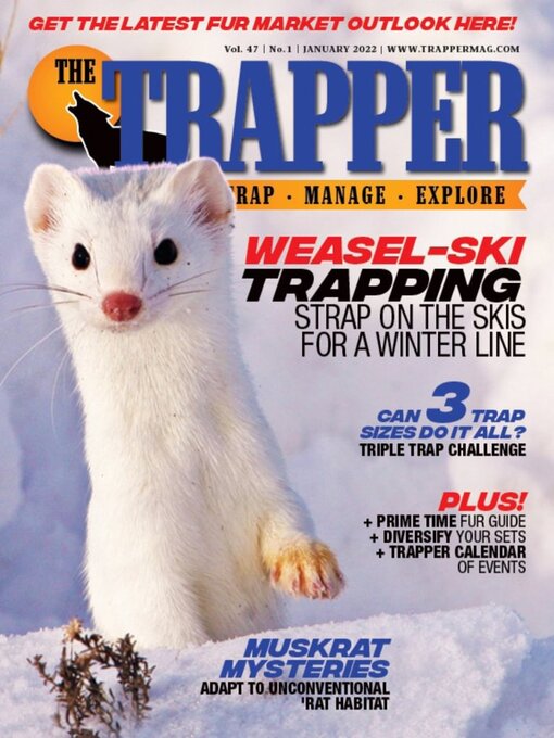 Weasel Ski TrappingTrapper Predator Caller