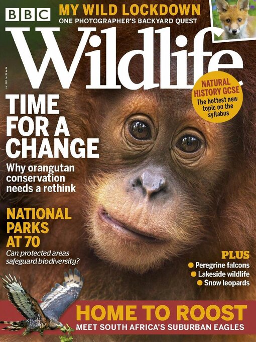 Bbc wildlife magazine cover image