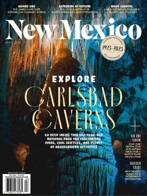 New mexico magazine cover image
