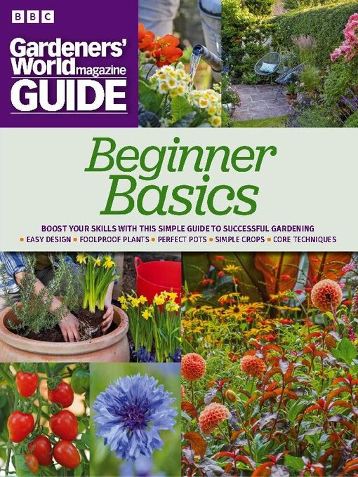 Beginners basics 2023 cover image