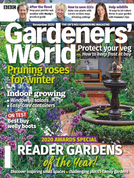 How to prune roses  BBC Gardeners World Magazine