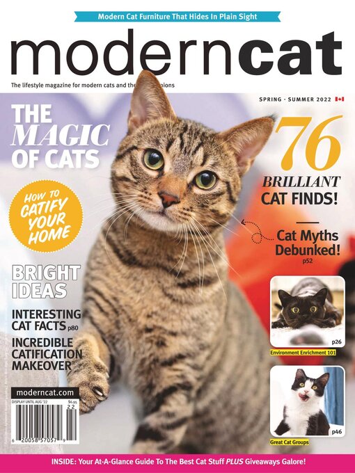 Modern cat cover image
