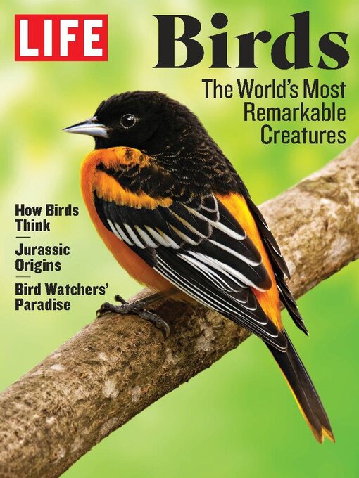Life the beauty of birds cover image