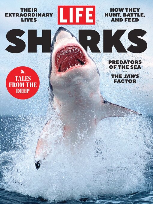 Cover Image of Life sharks