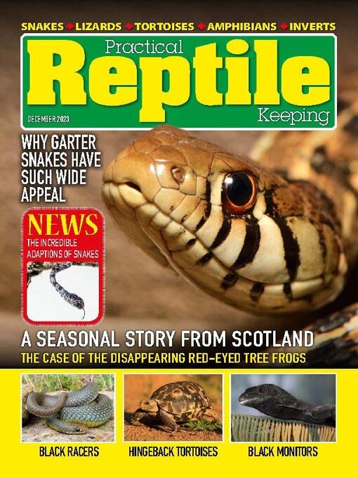 Practical reptile keeping cover image