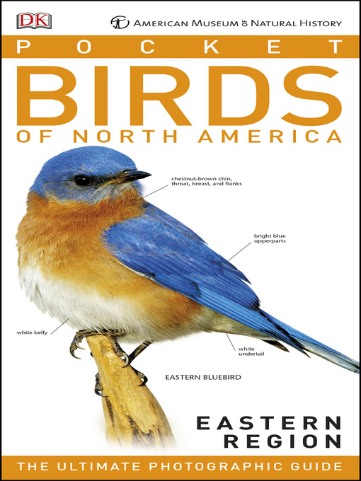 Audubon North American Birdfeeder Guide (DK North American Bird Guides) ( Book)