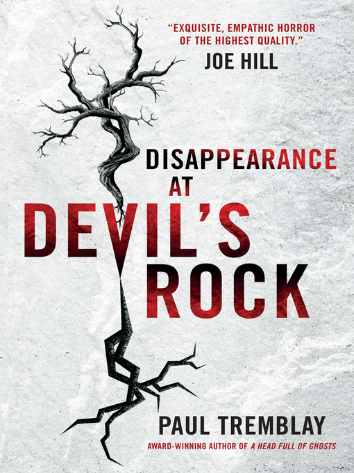 Disappearance at Devil's Rock : a novel