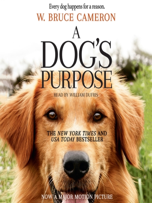 a dogs purpose good docs