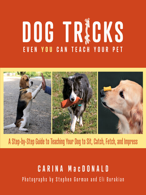 Dog tricks even you can teach your pet A step by step guide to  