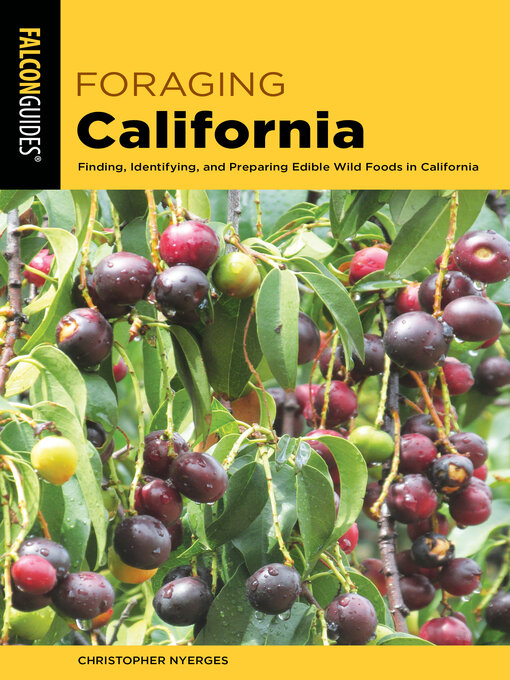 Libby - Foraging California