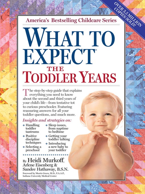 What to Expect the First Year eBook by Heidi Murkoff - EPUB Book