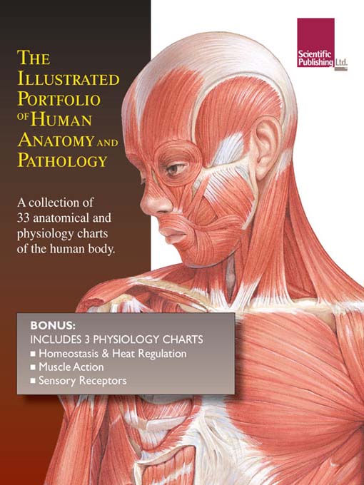 Illustrated Portfolio of Human Anatomy and Pathology - Media On Demand ...